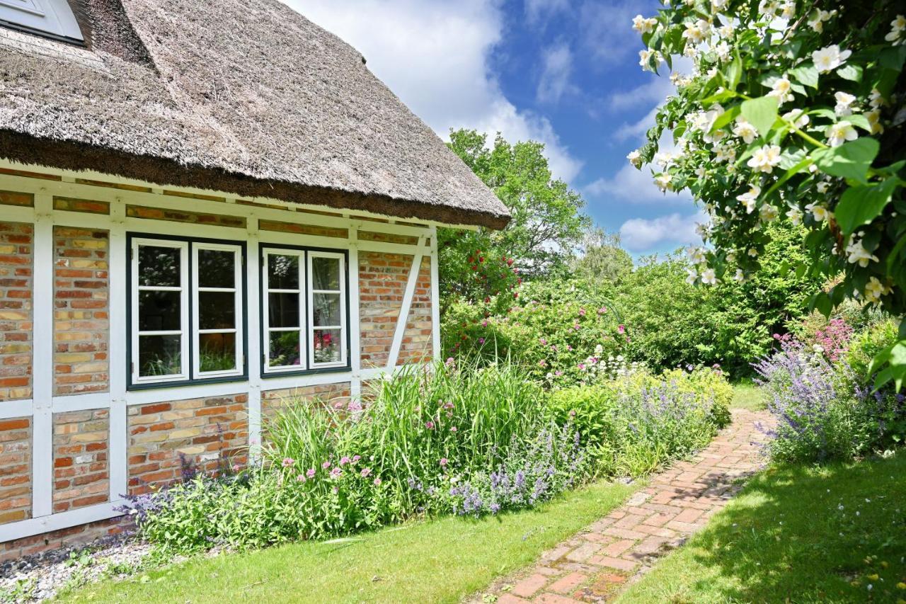 Landhaus Vilmnitz - Wohnung 7 Extérieur photo